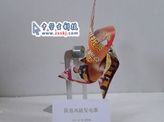 簡(jiǎn)易風(fēng)能發(fā)電器