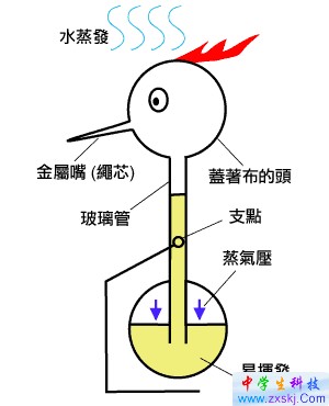 「飲水鳥」的結(jié)構(gòu)