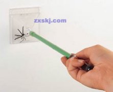 精巧制作的捕蜘蛛器