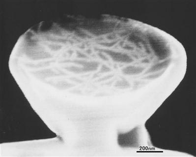 日本科學(xué)家用納米技術(shù)造出世界最小碗(圖)