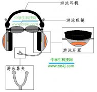 游泳耳機(jī)