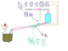 最簡單的自動澆花機(jī)