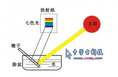 我把陽光分解了