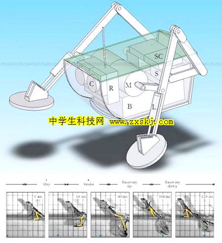 能在水面行走的機器人