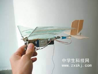 微型撲翼飛機
